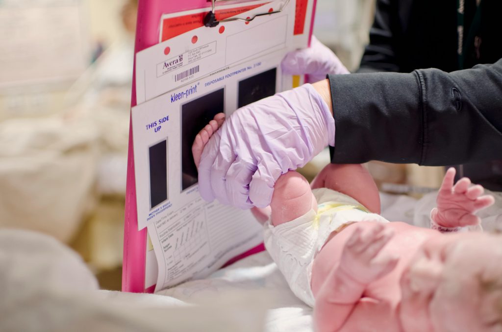 pexels-vicki-yde-411568-5961558