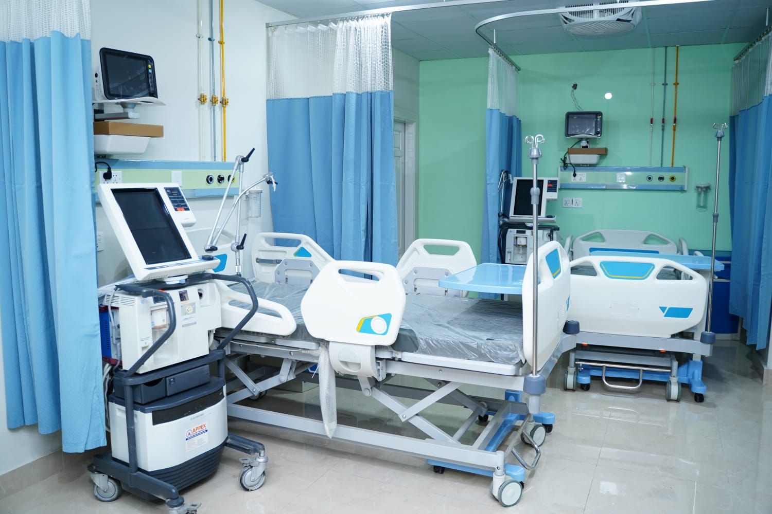 WhatsApp Image 2024-10-03 at 9.23.37 AM (1)