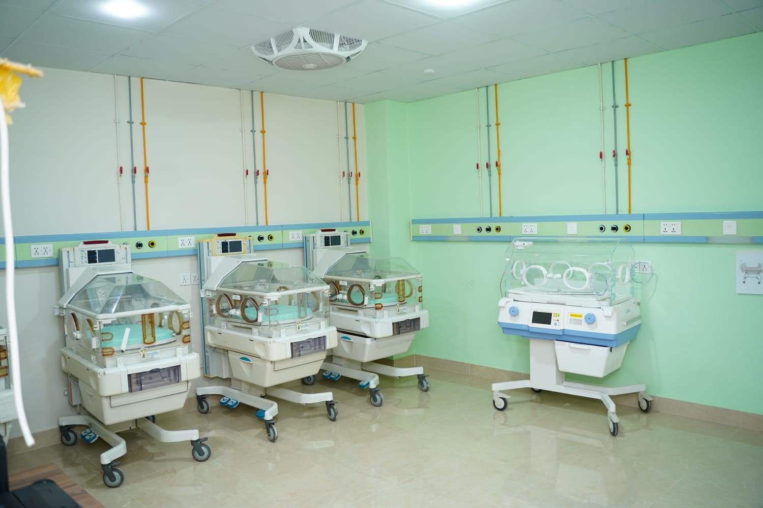 WhatsApp Image 2024-10-03 at 9.23.38 AM